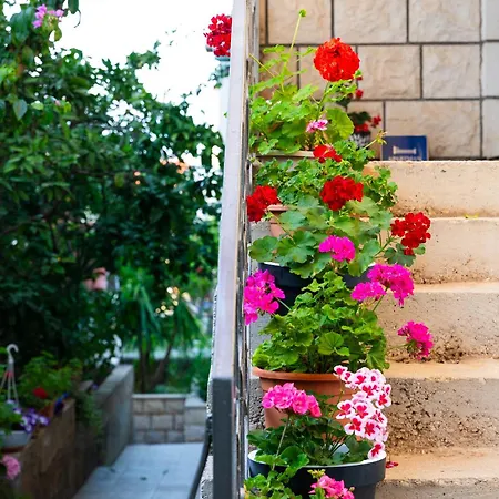 Apartman Martic Supetar