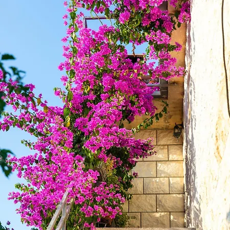 Martic Appartement *